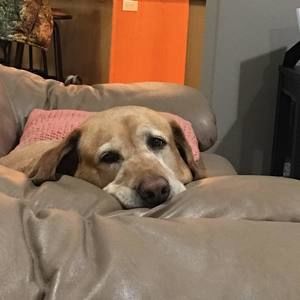 Meet your Posher, Lynn